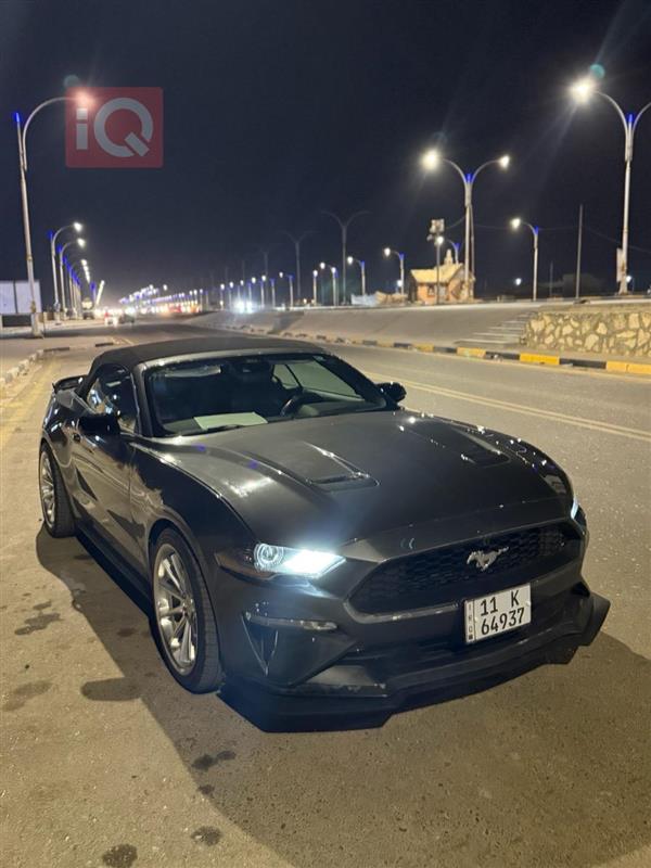 فۆرد ئیکۆ سپۆرت 2023  بۆ فرۆشتن لە عێراق - سەماوە